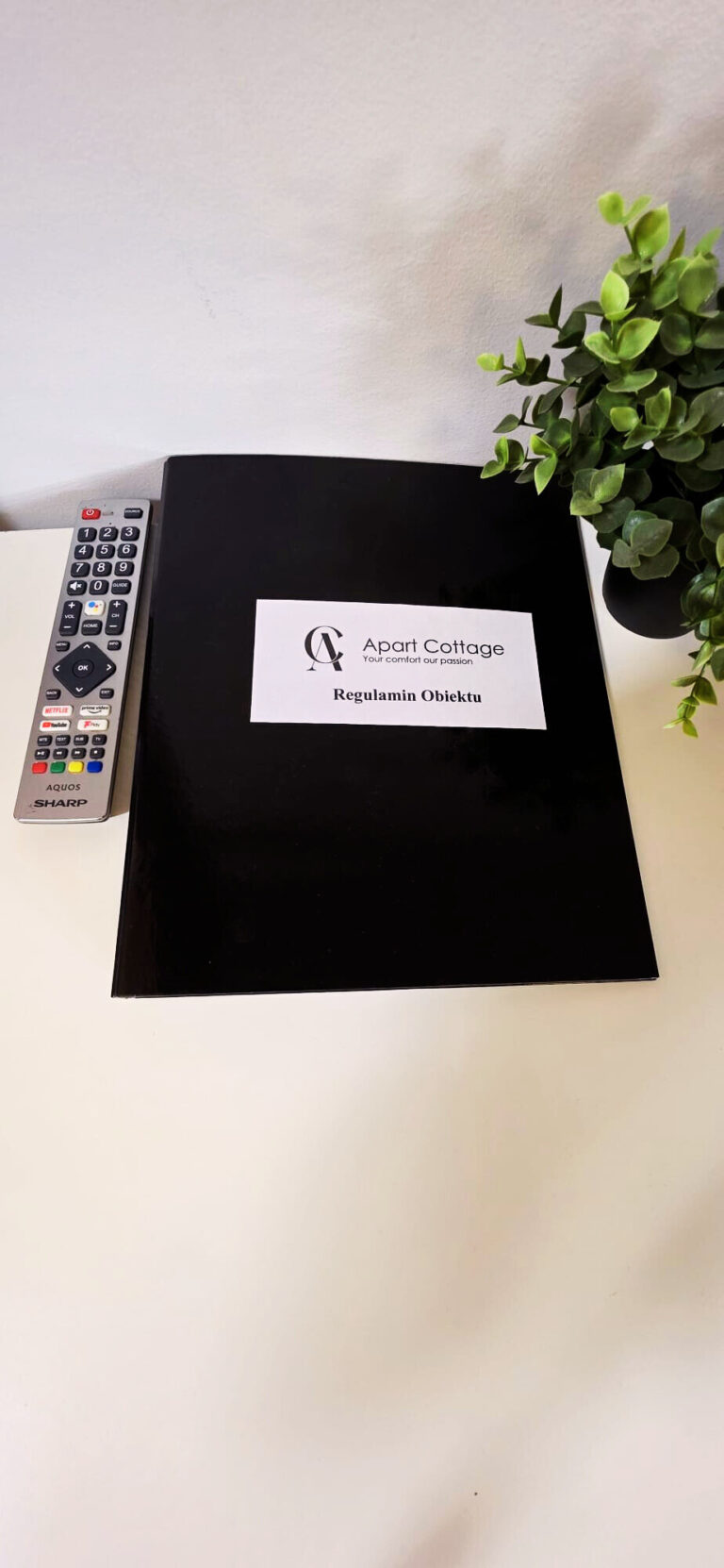 terenowa 24 nr 3 - regulamin